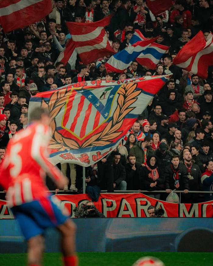 天津食品集团男排主场惜败（天津食品集团男排主场憾负）